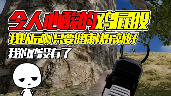 不是这个挂我就吃鸡了，啊啊我的鸡没有了