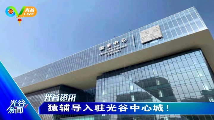 第三十三周光谷新闻周五版0226