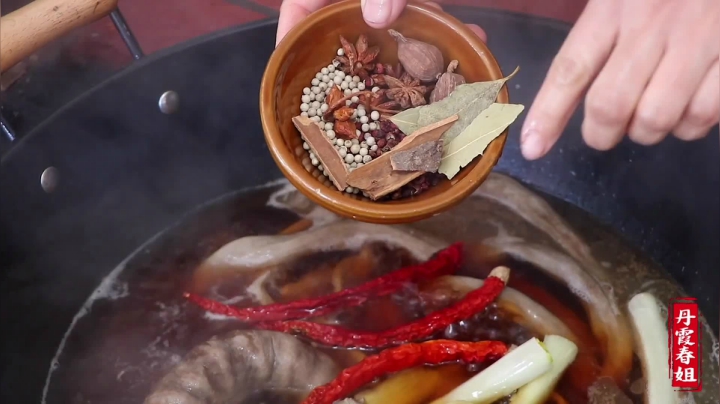 《漂亮娘们儿美食记》9_春姐和弟弟买副牛肠，先卤后烤，香而不腻，坐小院里别有一番风味