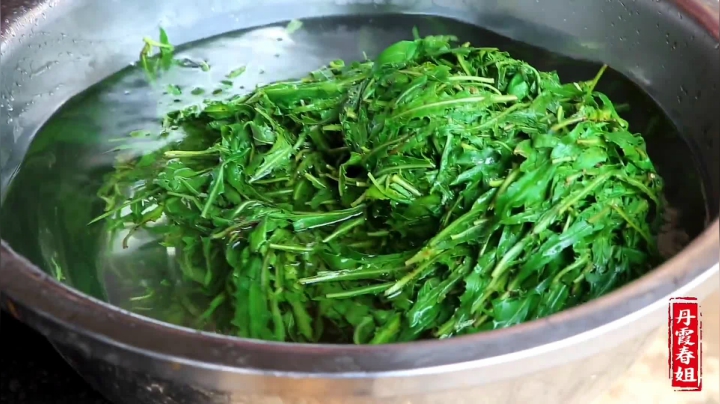 《漂亮娘们儿美食记》170_秋季最后拔波苦菜，春姐腌好存着冬天吃，自己在家做，酸爽超下饭