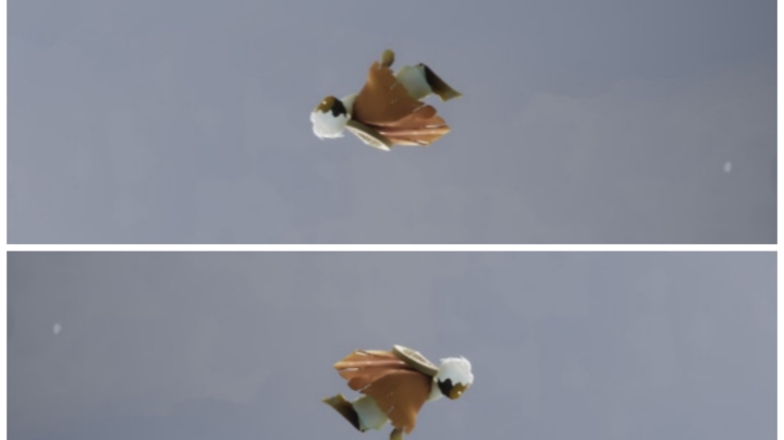 ，