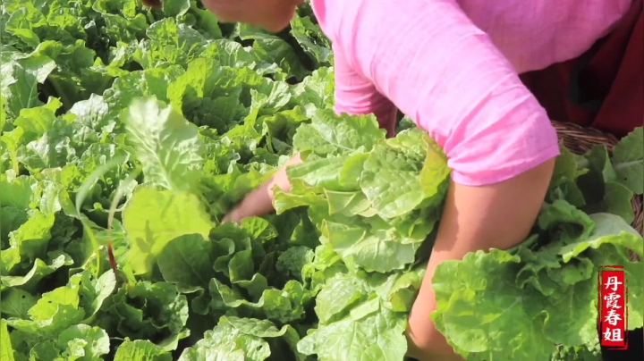 《漂亮娘们儿美食记》225_春姐修了新厨房，做第一道家常菜“粉条炖肉”3个人喝茶吃肉，爽