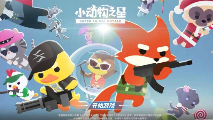 【小动物之星视频秀】+雨中在这等你呦