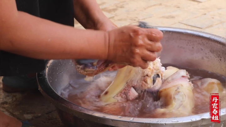 《漂亮娘们儿美食记》226_6人买2个大牛蹄，春姐做成火锅，抱着啃肉，涮4公分的宽粉，过瘾