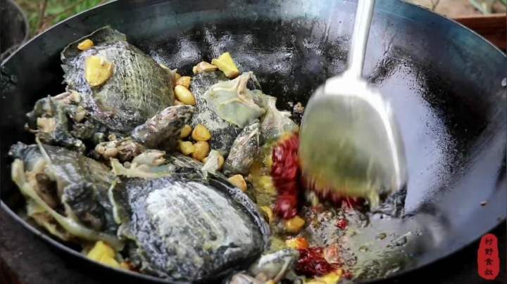 《乡村老流氓美食记》236_260买6只甲鱼，做个红烧甲鱼下酒，哥俩一人一个拿着啃，过足了瘾