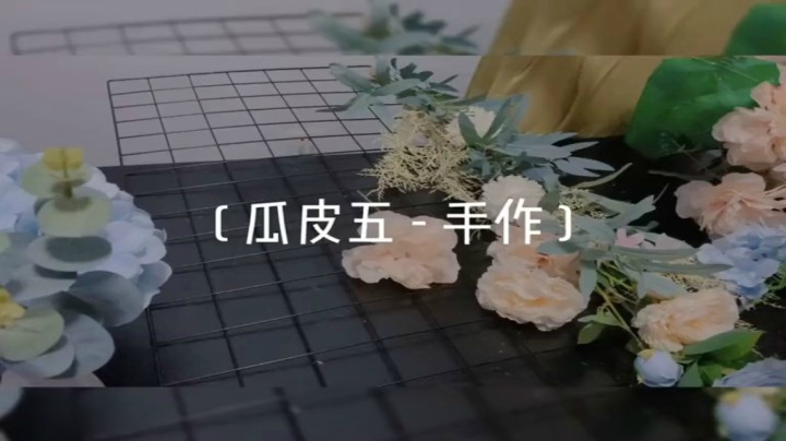 瓜皮五-手工的Baby