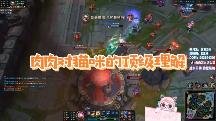 肉肉玩猫咪得顶级理解