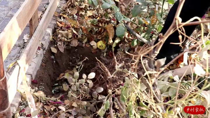 《乡村老流氓美食记》90_62块买几只鸽子，秘制“脆皮鸽”，出锅后和老婆直接上手啃，真香