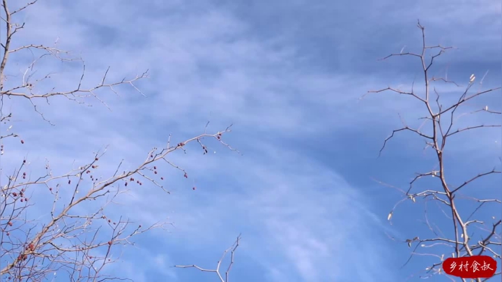 《乡村老流氓美食记》51_红油猪蹄！食叔一口气买6个大猪蹄，一锅煮了，一家人啃着真带劲