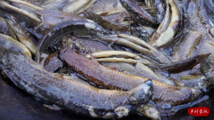 《乡村老流氓美食记》5_都说泥鳅是水中人参，今天给老婆炖一锅，味道果然名不虚传