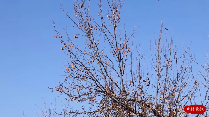 《乡村老流氓美食记》92_都说驴杂做火锅鲜美绝伦，今天给家人做了一锅，味道果然名不虚传