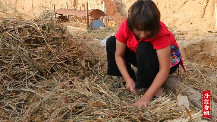 《漂亮娘们儿美食记》379_家养土鸡蛋这样做才好吃，不用听那些大厨，美味营养，2分钟出锅