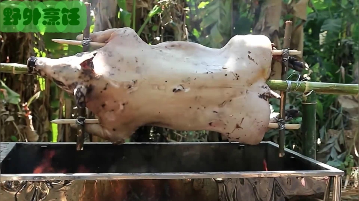 《姐妹花儿野外美食》46_泰国农村有多富裕？200斤的肥猪直接烧烤，味道巴适惨了