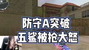 五鲨被抢了，难受