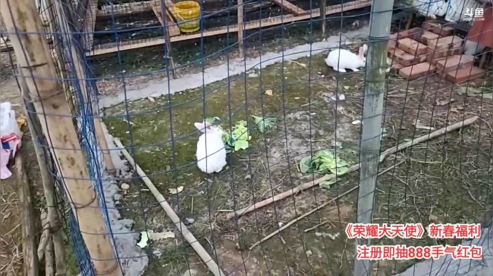 点赞