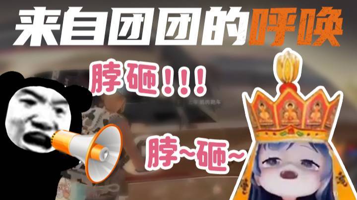 【一条小团团】来自团团的呼唤~