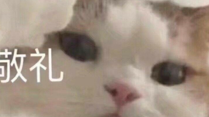 录像