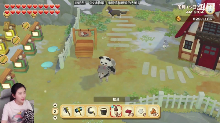 【2021-03-03 17点场】十三三三：十三：种地什么的最开心了