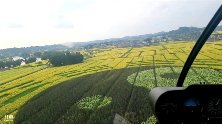 直升机航拍潼南万亩油菜花海