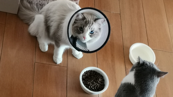 法术