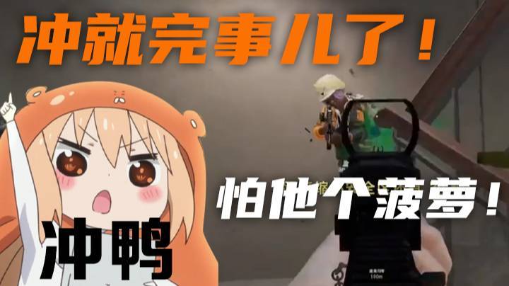 【一条小团团】怕他个菠萝！冲就完事儿了！