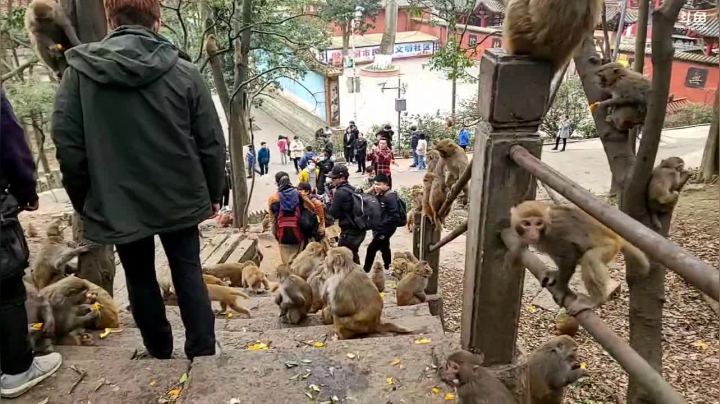 【2021-03-04 15点场】叶子户外：金鱼奖，贵州贵阳的街道