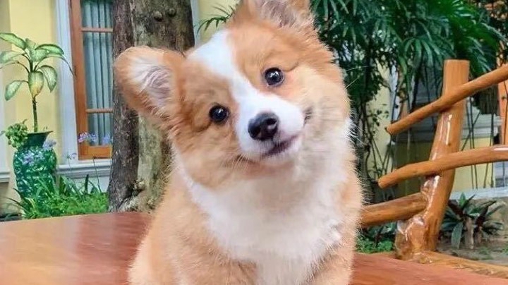 绝地轻生系列