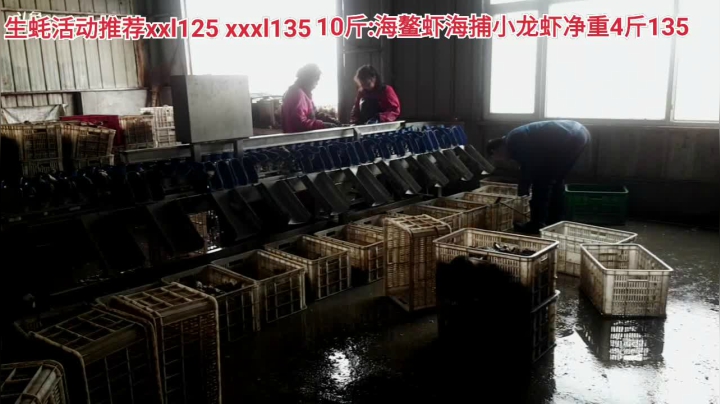 【户外】威海高哥587997的精彩时刻 20210304 14点场