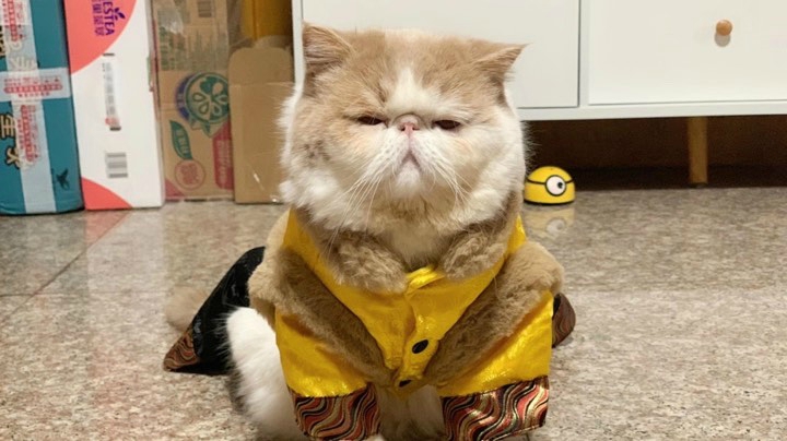 红卡快出现啊！