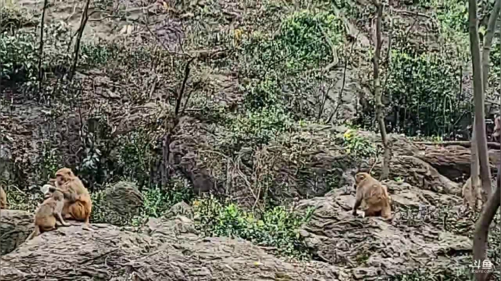 【2021-03-04 13点场】叶子户外：金鱼奖，贵州贵阳的街道
