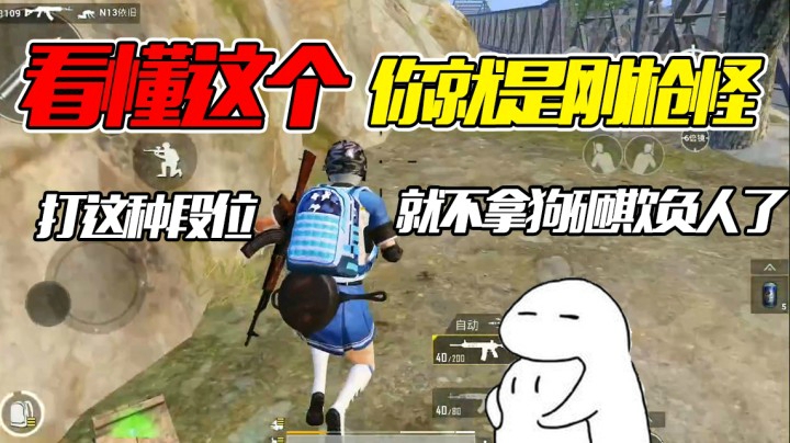 收盒满满25杀，都打这种段位就不拿狗砸欺负人了