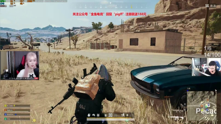 我在斗鱼看pigff直播绝地求生