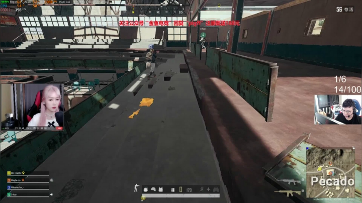 我在斗鱼看pigff直播绝地求生