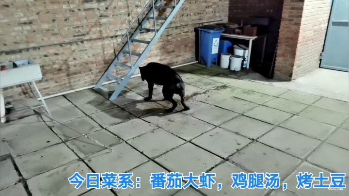 【2021-03-05 22点场】无尽无尽的无尽：饿了啊，，吃啊啊