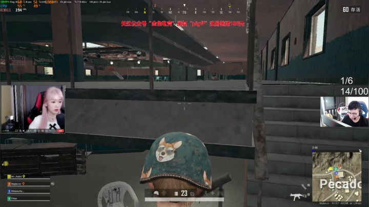 我在斗鱼看pigff直播绝地求生