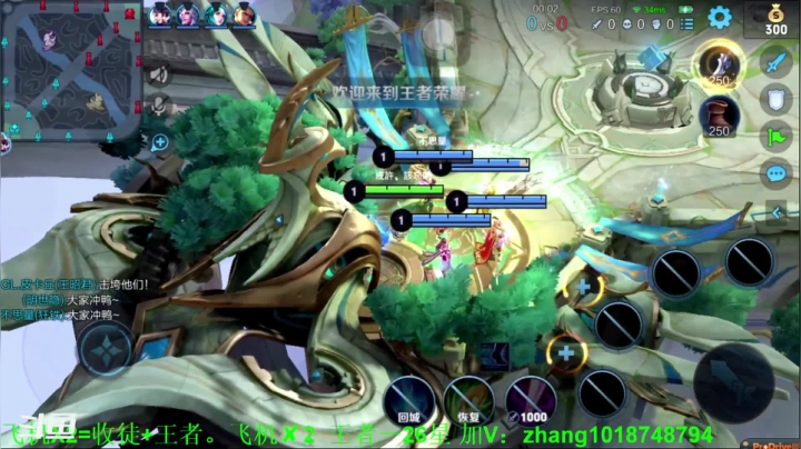 【2021-03-05 20点场】烟花Q烟花：版本答案，李信光信打野，无情上分工具