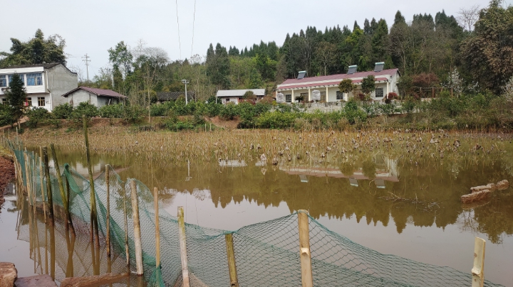 如果忘了爱