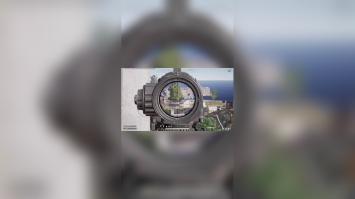 M24太快乐了