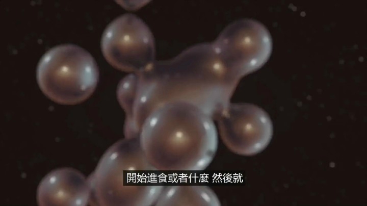 多米诺效应：柯南系列