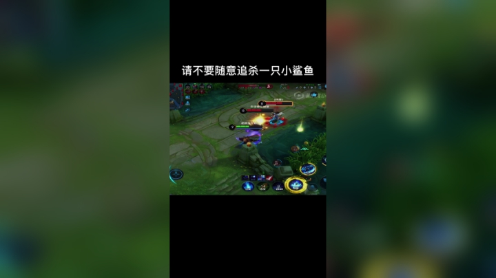 请不要随意追杀一只小鲨鱼