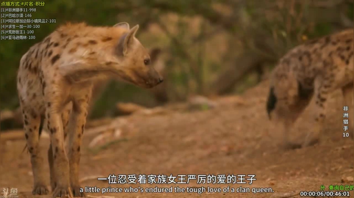 【科普】酷炫你你你的精彩时刻 20210307 12点场