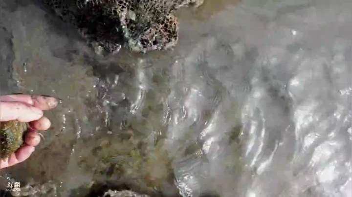 【户外】威海高哥587997的精彩时刻 20210307 13点场