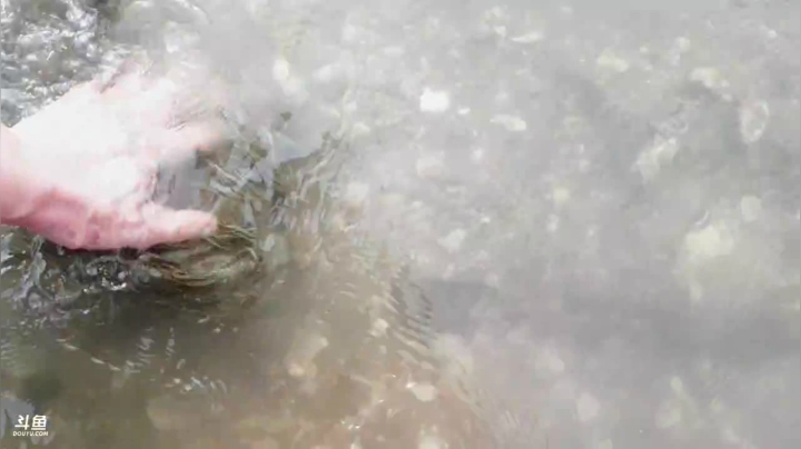 【户外】威海高哥587997的精彩时刻 20210307 14点场