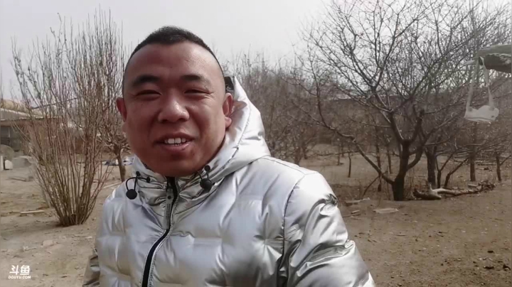 大ne饿的满天飞
