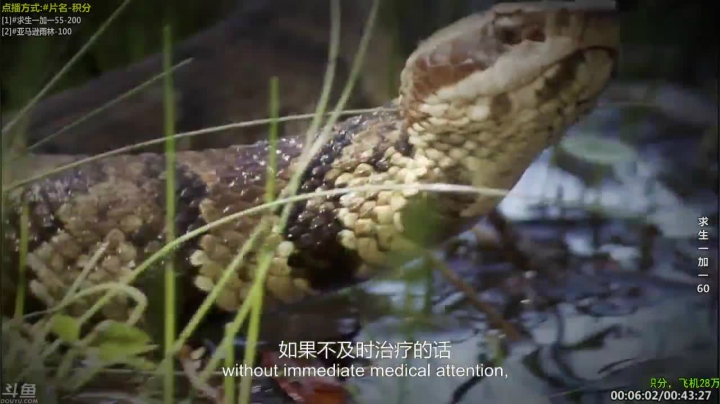 【科普】酷炫你你你的精彩时刻 20210308 08点场