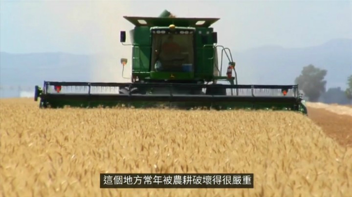 多米诺效应：合集01