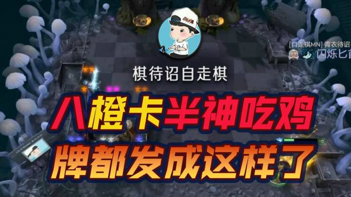 八橙卡半神鸡