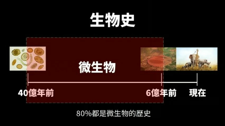 多米诺效应：合集04