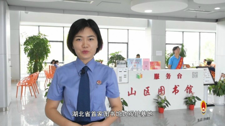 指尖上的法治课丨什么是“未成年人观护基地”？