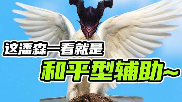 这潘森一看就是和平型辅助~